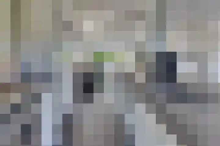 Beneluxlaan 2 Harderwijk thumbnail 26