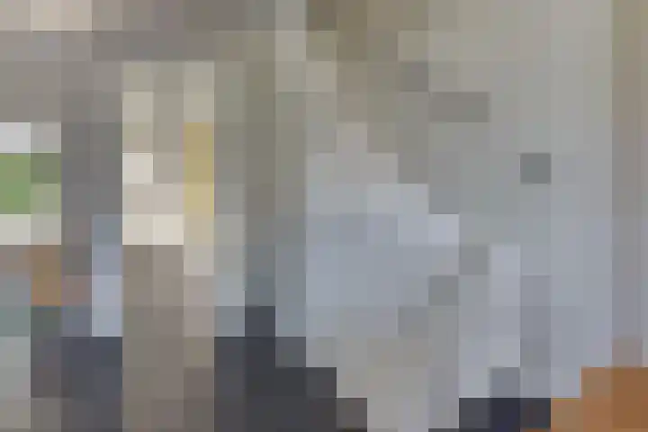 Beneluxlaan 2 Harderwijk thumbnail 27