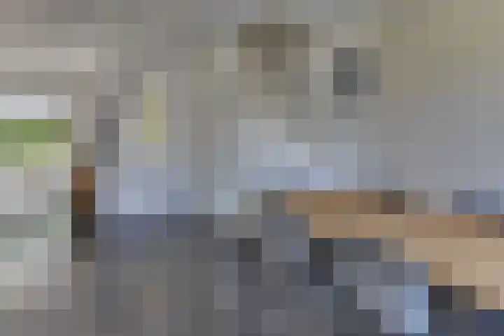 Beneluxlaan 2 Harderwijk thumbnail 30