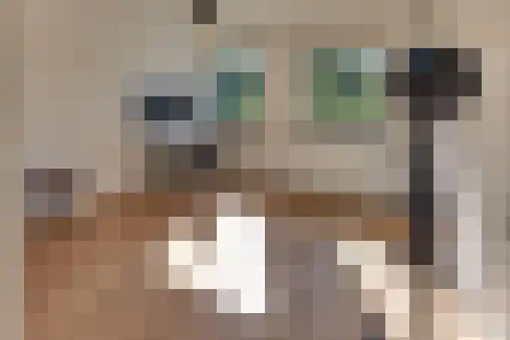 Beneluxlaan 2 Harderwijk thumbnail 32