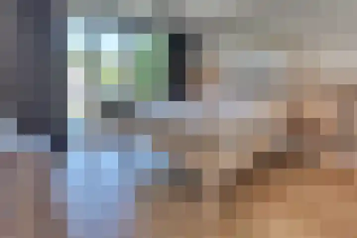 Beneluxlaan 2 Harderwijk thumbnail 33