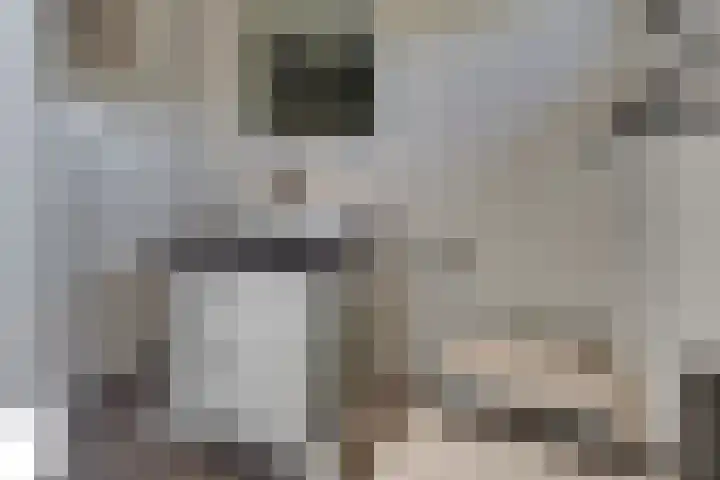 Beneluxlaan 2 Harderwijk thumbnail 37