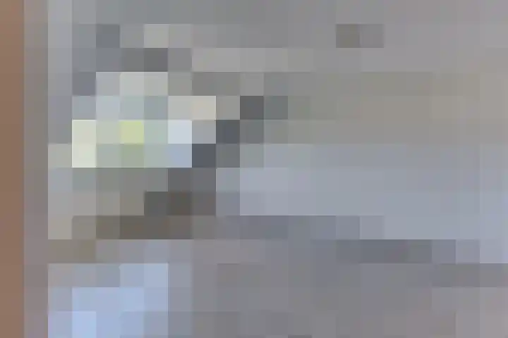 Beneluxlaan 2 Harderwijk thumbnail 44