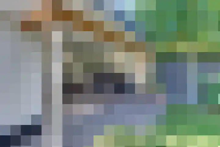 Beneluxlaan 2 Harderwijk thumbnail 50