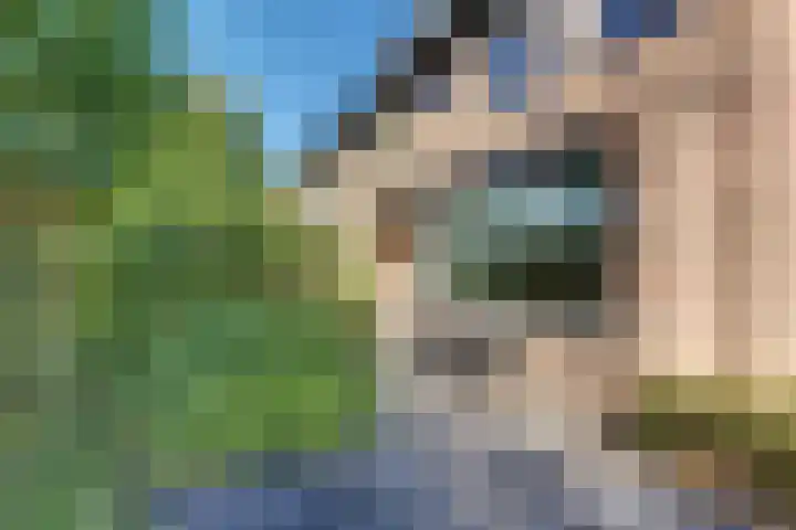Beneluxlaan 2 Harderwijk thumbnail 61