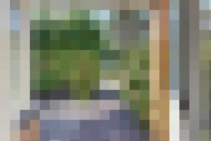 Beneluxlaan 2 Harderwijk thumbnail 63