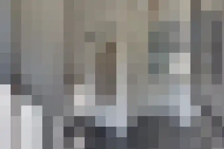 Beneluxlaan 2 Harderwijk thumbnail 8