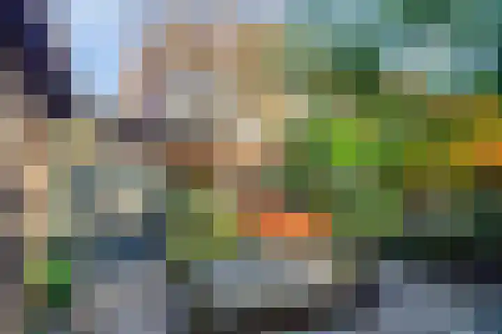 Beneluxlaan 20 Boxtel thumbnail 36