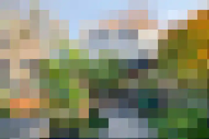 Beneluxlaan 20 Boxtel thumbnail 37