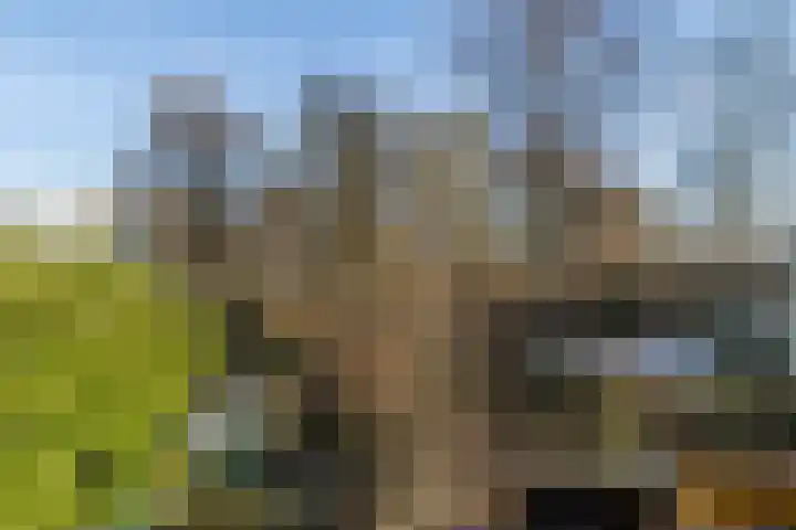 Beneluxlaan 20 Heerlen thumbnail 24
