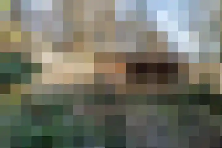 Beneluxlaan 20 Heerlen thumbnail 25