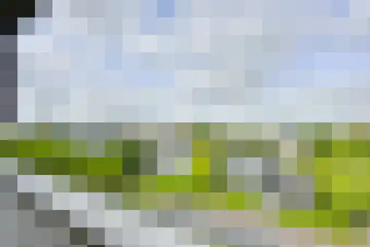 Beneluxlaan 210 Utrecht thumbnail 11