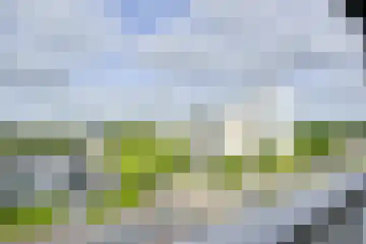 Beneluxlaan 210 Utrecht thumbnail 12
