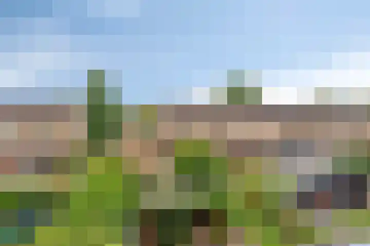 Beneluxlaan 24 Boxtel thumbnail 27