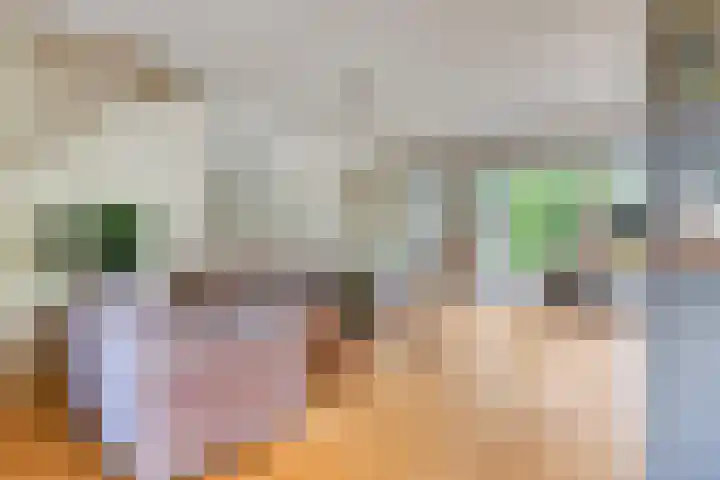 Beneluxlaan 24 Boxtel thumbnail 4