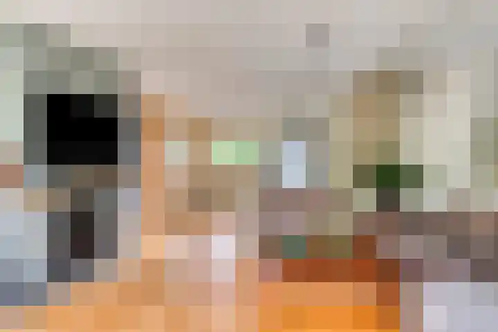 Beneluxlaan 24 Boxtel thumbnail 6