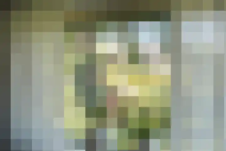 Beneluxlaan 280 Heemskerk thumbnail 6