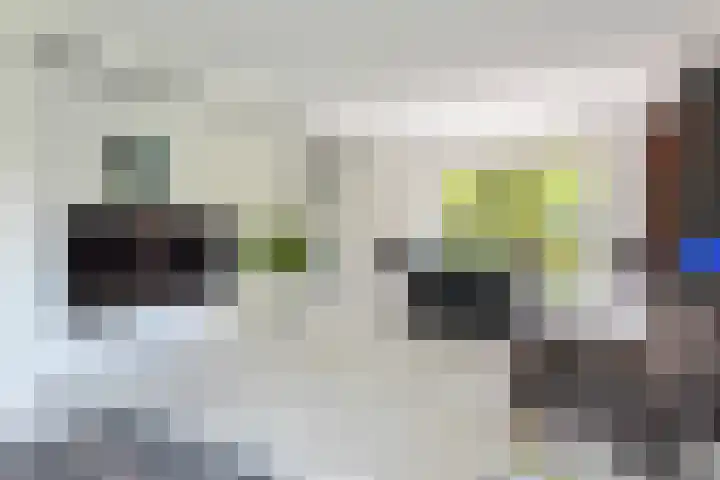 Beneluxlaan 280 Heemskerk thumbnail 7