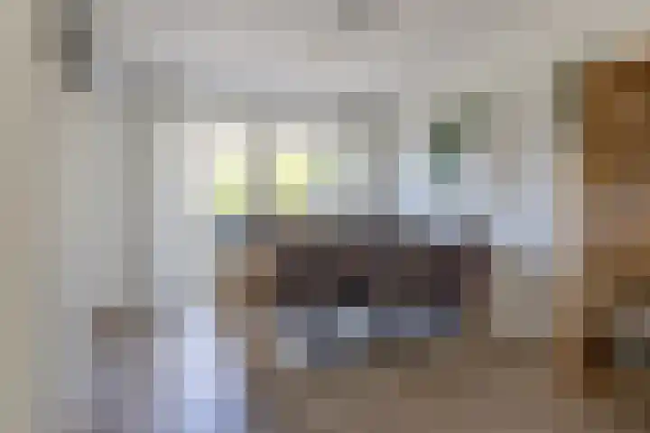 Beneluxlaan 296 Heemskerk thumbnail 5