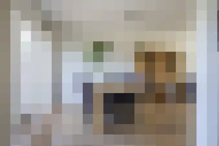 Beneluxlaan 296 Heemskerk thumbnail 7