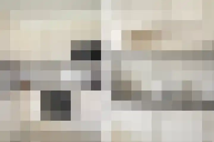 Beneluxlaan 304 Heemskerk thumbnail 11