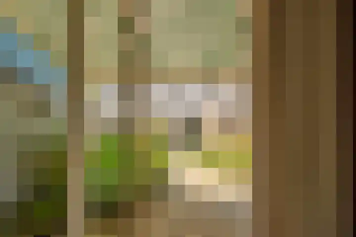 Beneluxlaan 304 Heemskerk thumbnail 12