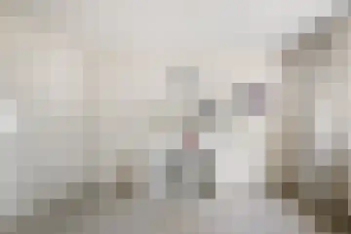 Beneluxlaan 304 Heemskerk thumbnail 15