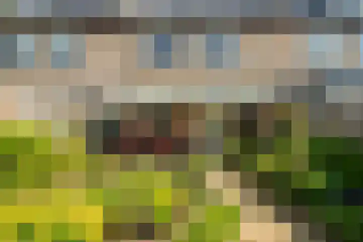 Beneluxlaan 304 Heemskerk thumbnail 28