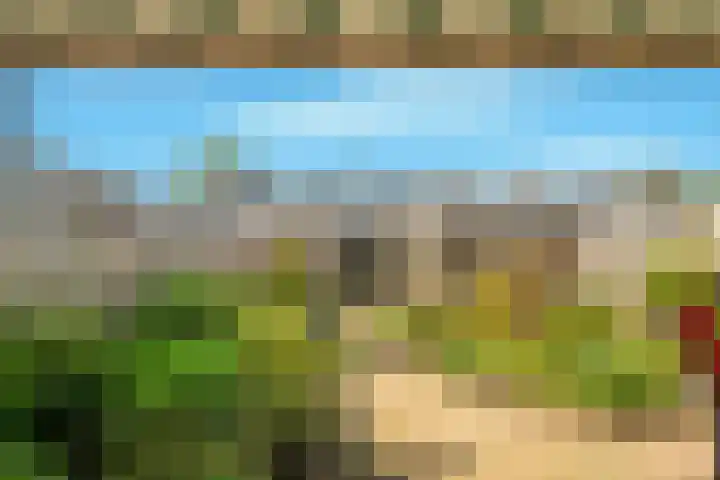 Beneluxlaan 304 Heemskerk thumbnail 29