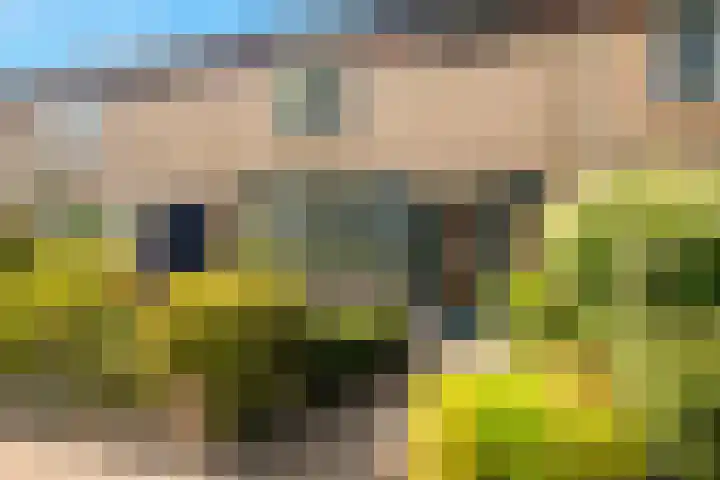 Beneluxlaan 304 Heemskerk thumbnail 33