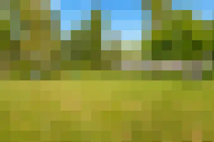 Beneluxlaan 304 Heemskerk thumbnail 34