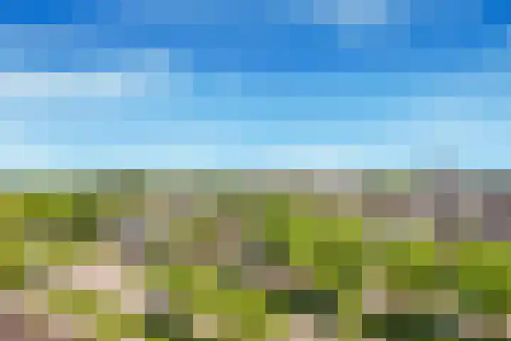Beneluxlaan 304 Heemskerk thumbnail 35