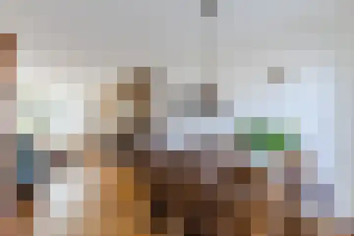Beneluxlaan 306 Heemskerk thumbnail 10