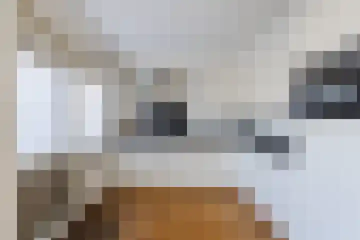 Beneluxlaan 306 Heemskerk thumbnail 12