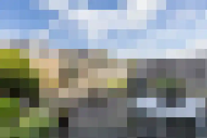 Beneluxlaan 306 Heemskerk thumbnail 15