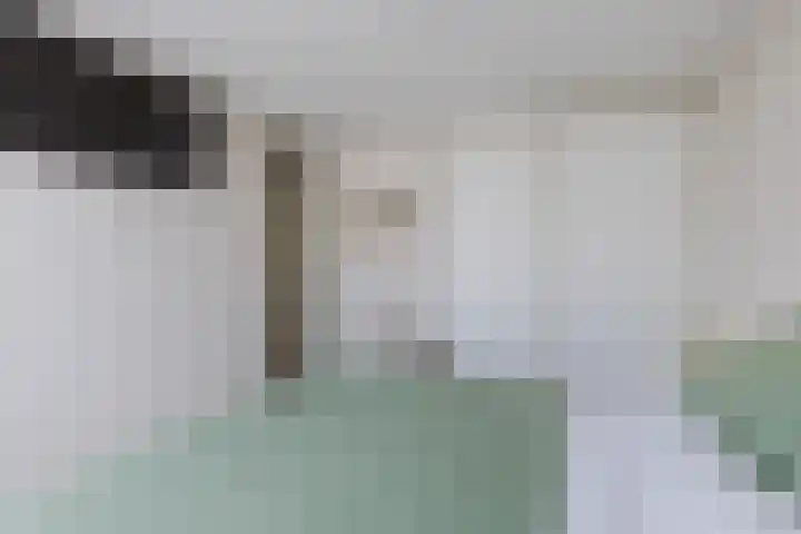 Beneluxlaan 306 Heemskerk thumbnail 22