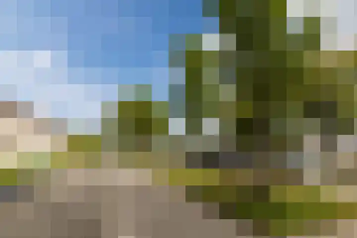 Beneluxlaan 306 Heemskerk thumbnail 35