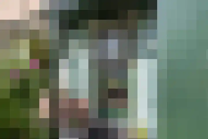 Beneluxlaan 306 Heemskerk thumbnail 4