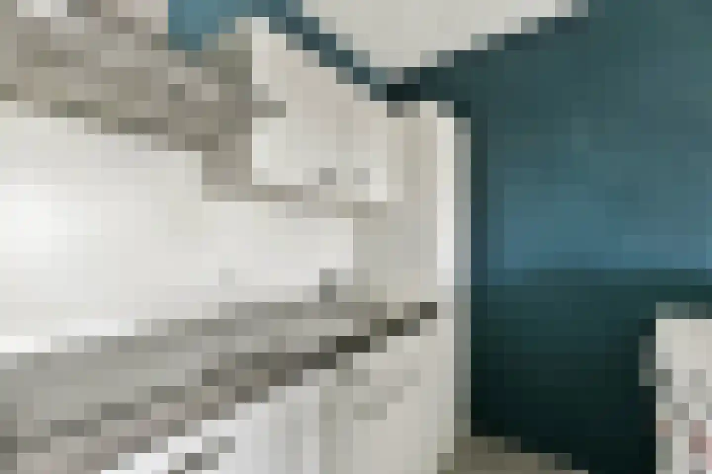 Beneluxlaan 323 Heemskerk thumbnail 13