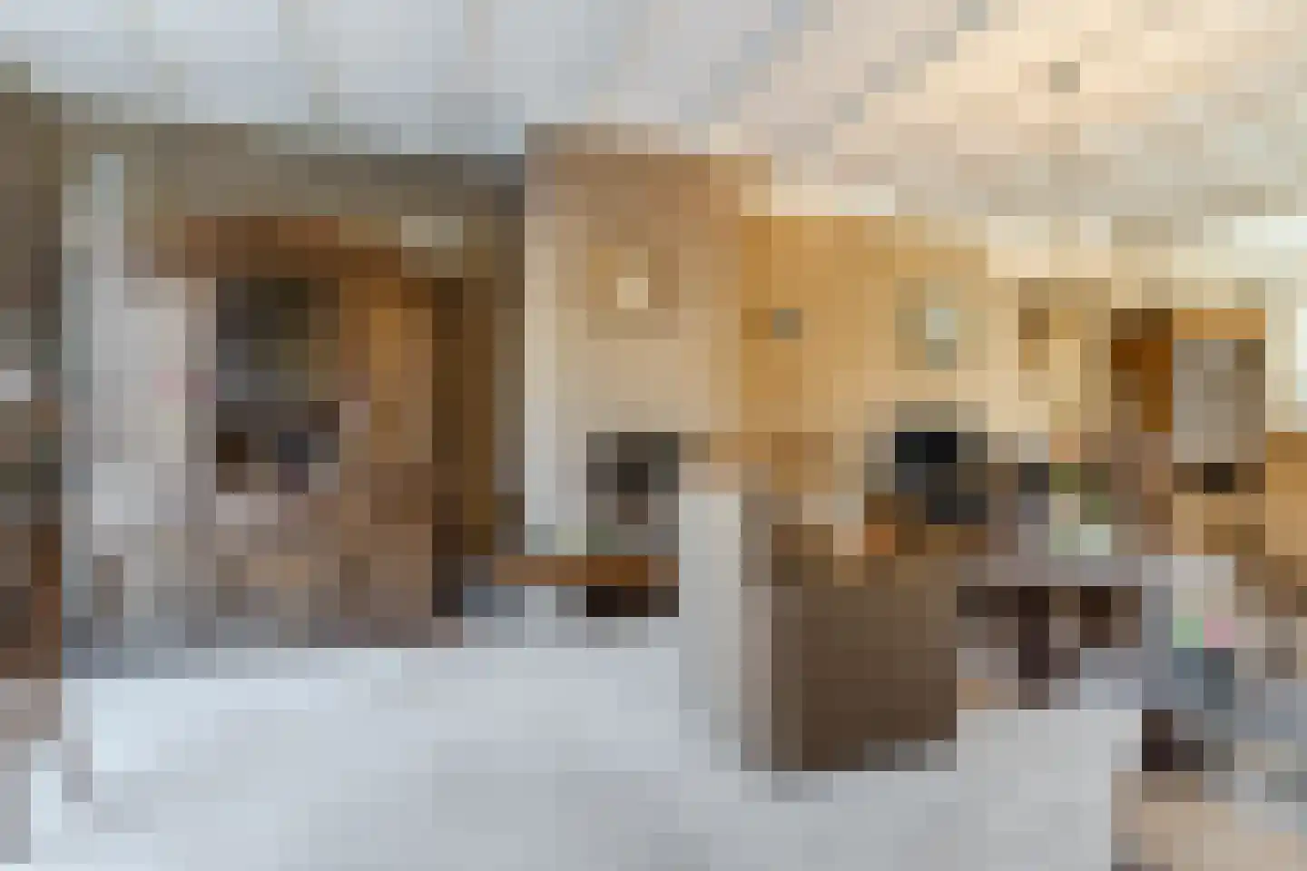Beneluxlaan 33 Tilburg thumbnail 4