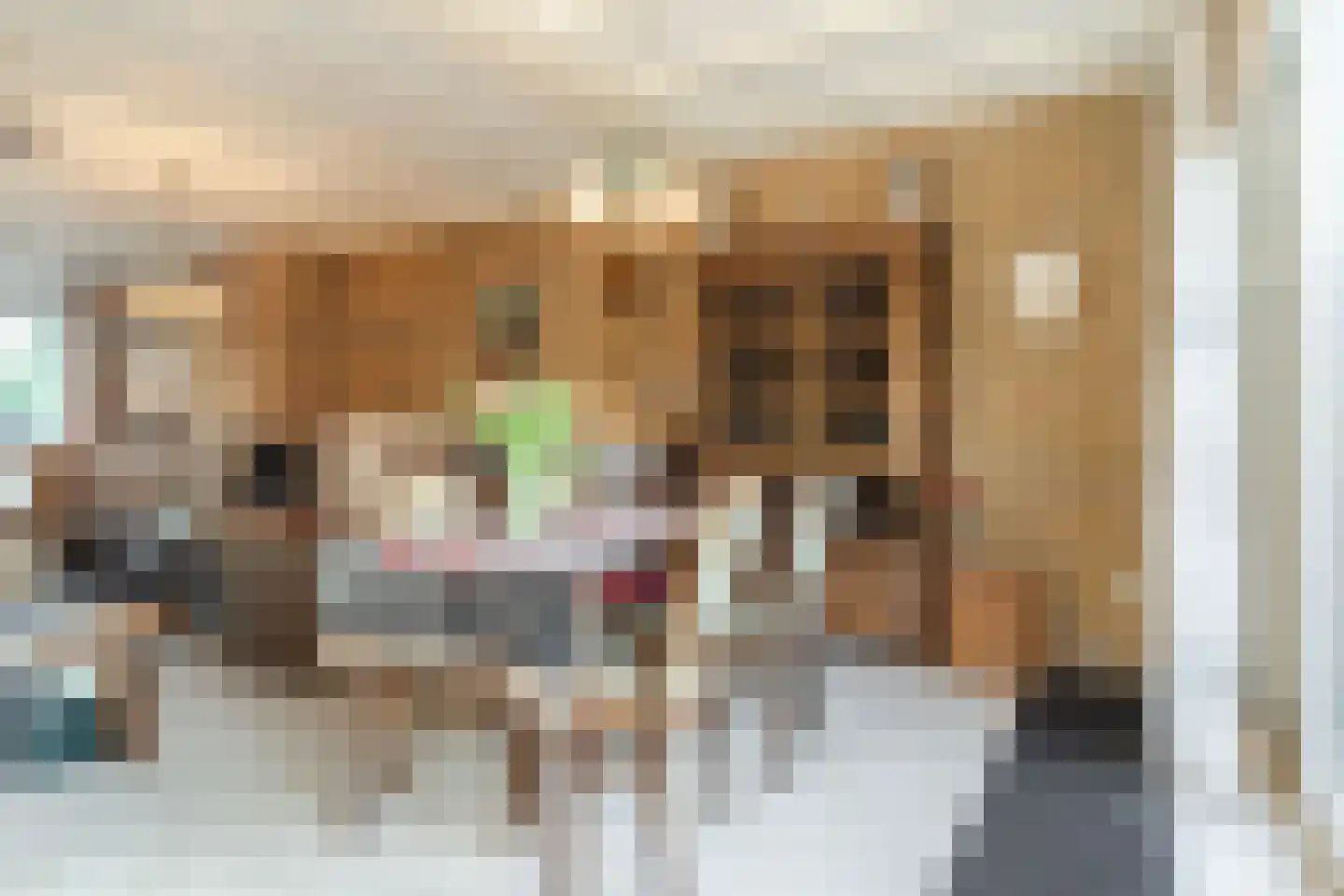 Beneluxlaan 33 Tilburg thumbnail 7