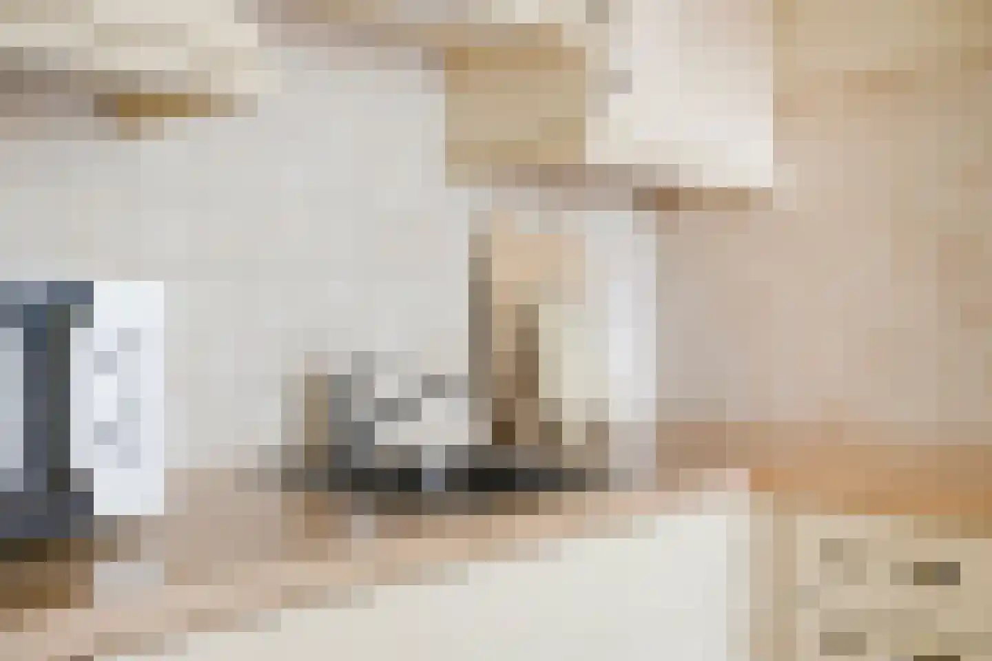 Beneluxlaan 343 Heemskerk thumbnail 11