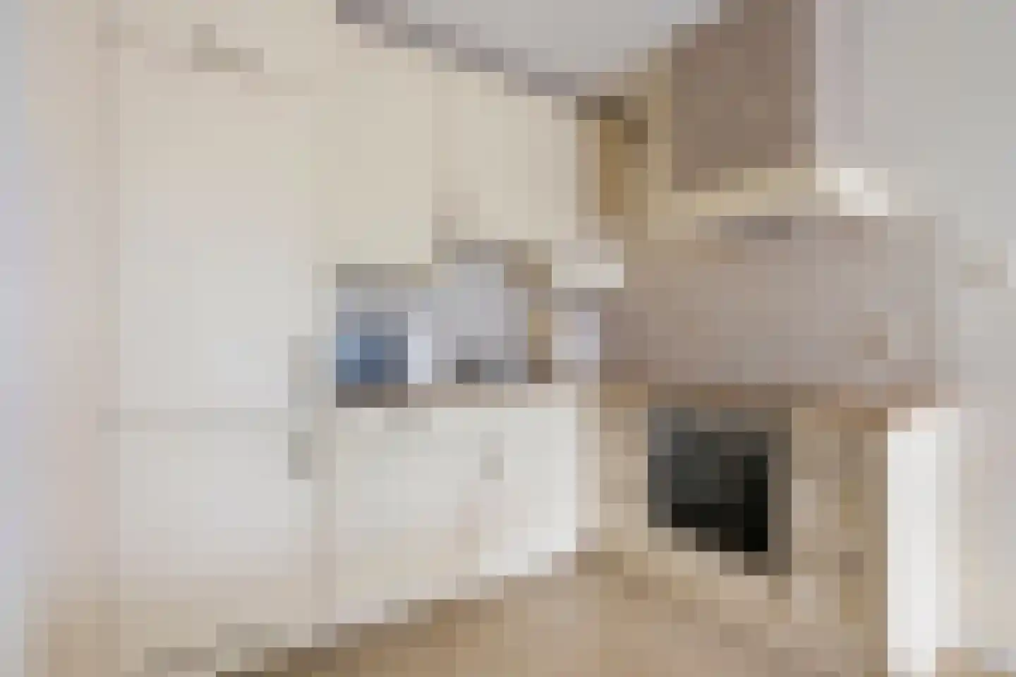 Beneluxlaan 343 Heemskerk thumbnail 4