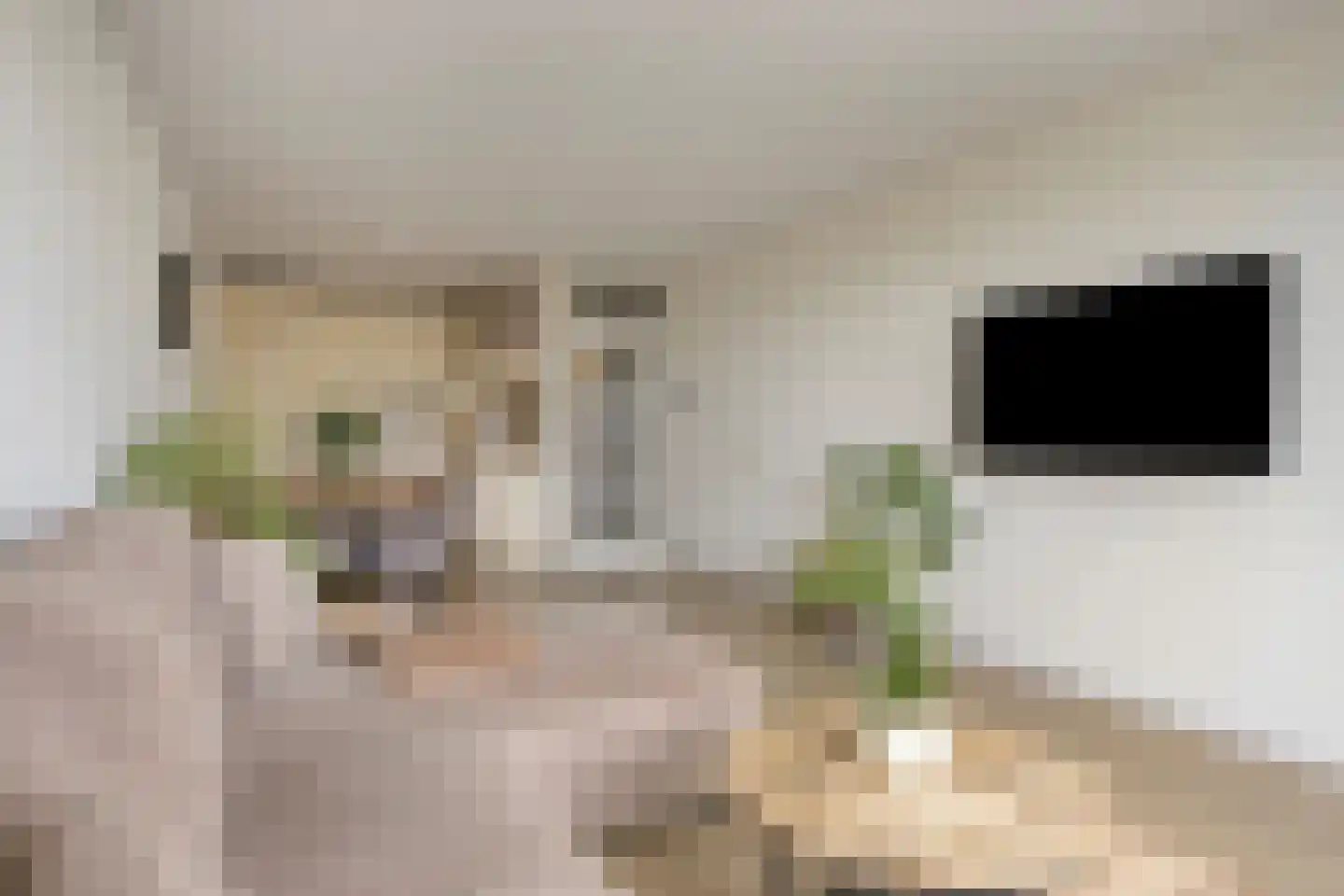Beneluxlaan 343 Heemskerk thumbnail 8