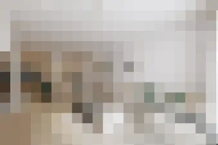 Beneluxlaan 35 A Beverwijk thumbnail 5