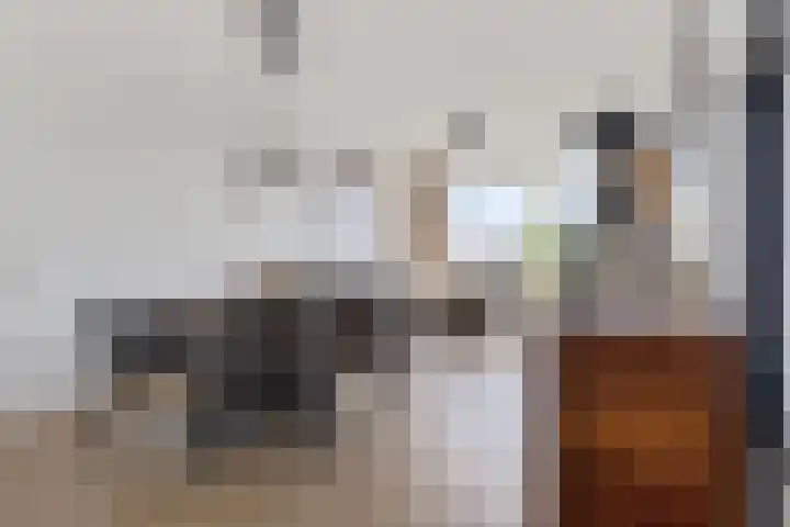 Beneluxlaan 377 Heemskerk thumbnail 11