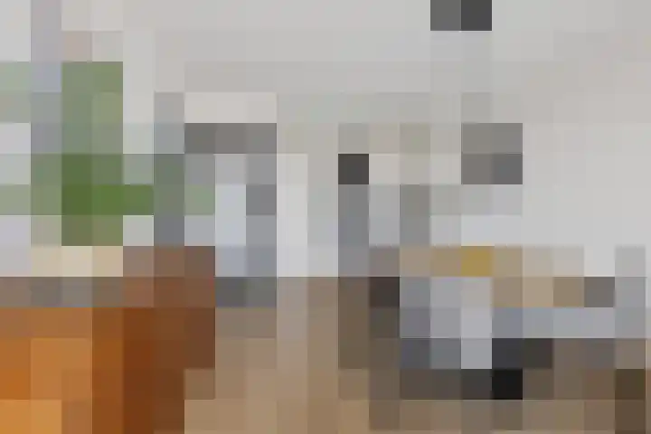 Beneluxlaan 377 Heemskerk thumbnail 12