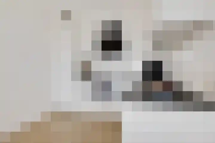 Beneluxlaan 377 Heemskerk thumbnail 16