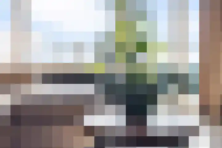 Beneluxlaan 377 Heemskerk thumbnail 18