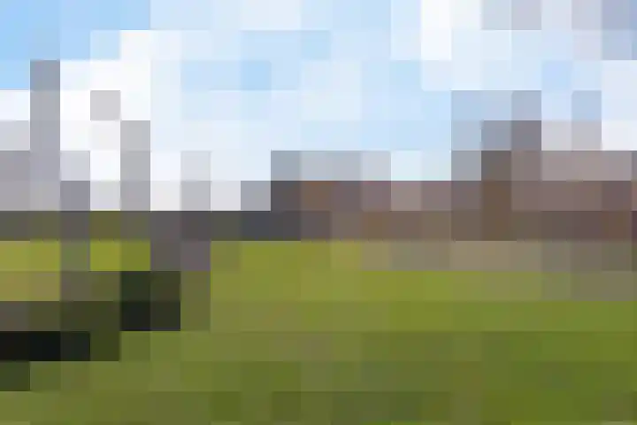 Beneluxlaan 377 Heemskerk thumbnail 33